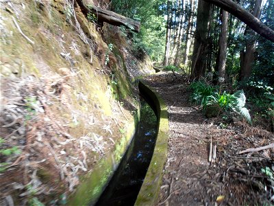 Levada dos Tornos
