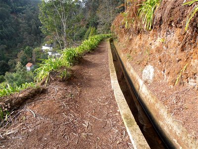 Levada dos Tornos