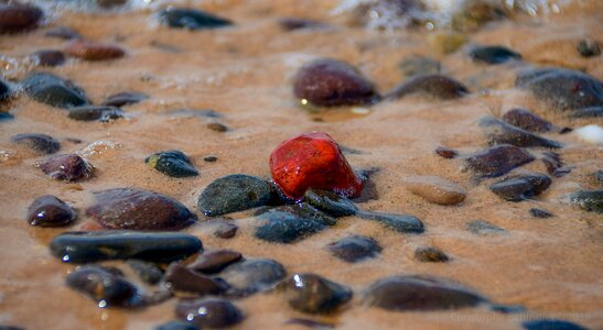 Beach pebble ocean photo