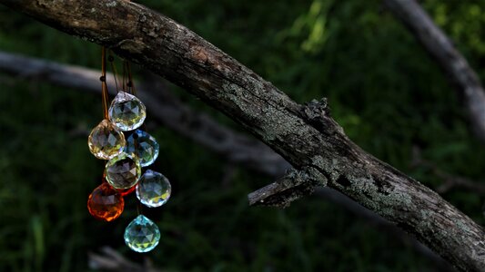 Crystals catcher of the sun in the evening