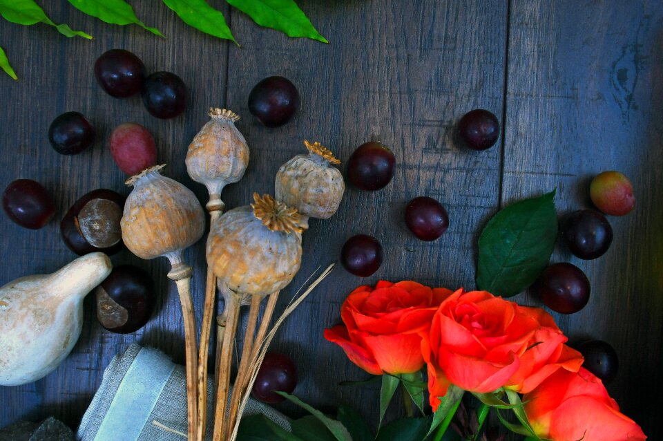 Color chestnut still life