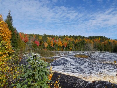 Landscape scenery fall