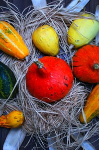 Color halloween decoration