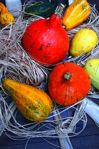 Color halloween decoration