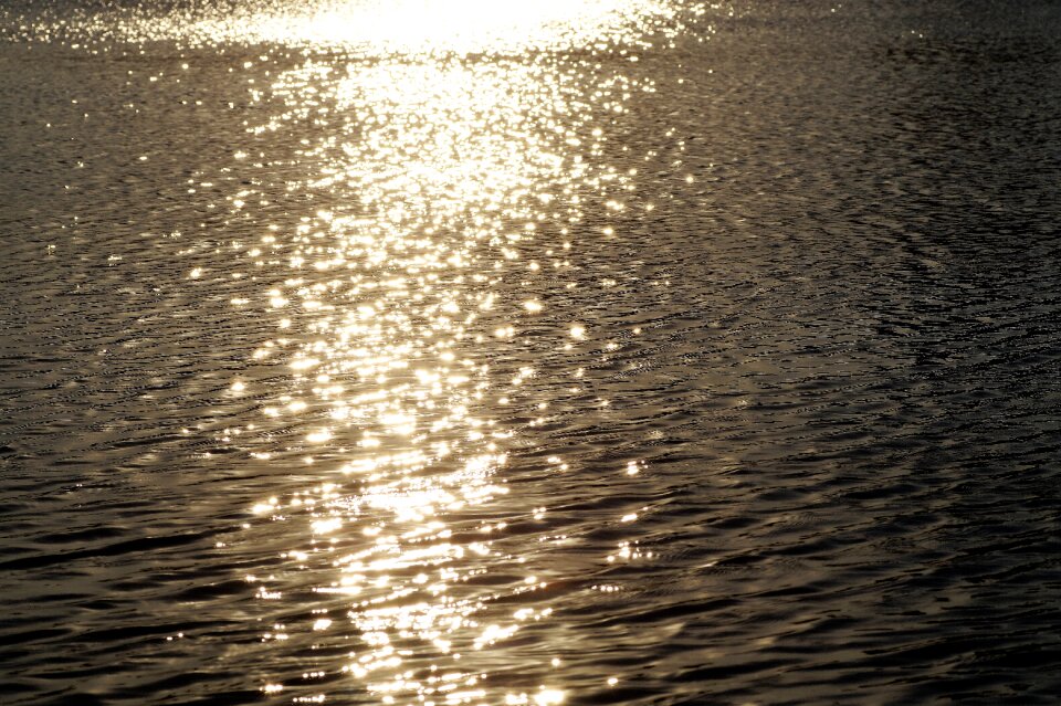 Reflection those shimmering plates scintillating