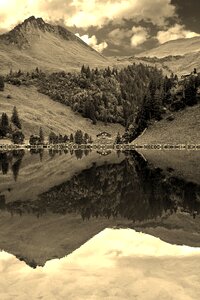 Mirroring reflection forest photo