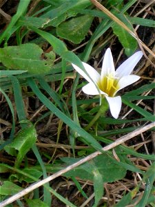 Photos of Nature reserve Beni Zion near Bazzra