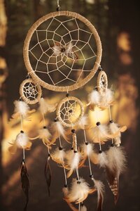 Magic a dream decoration photo