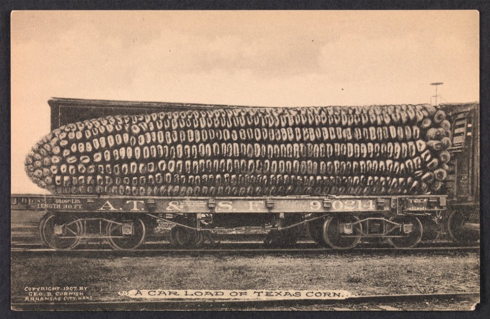Postcard; Photographs