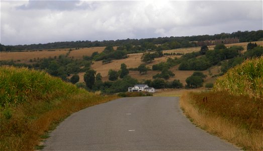 Banalisation des paysages. Maison neuve et culture du maïs à Réville-aux-Bois (Meuse). Vue depuis la route de Damvillers. photo