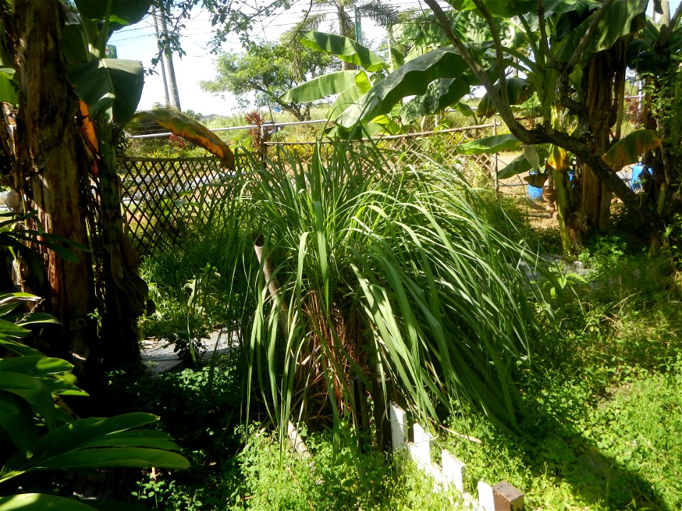 East-West Seed Co., Inc. (Sampaloc, San Rafael, Bulacan) East-West Seed Philippines - Km. 54 Old Cagayan Valley Road, Sampaloc, San Rafael, Bulacan in Barangay Sampaloc 14°58'30"N   120°55'25"E, San R