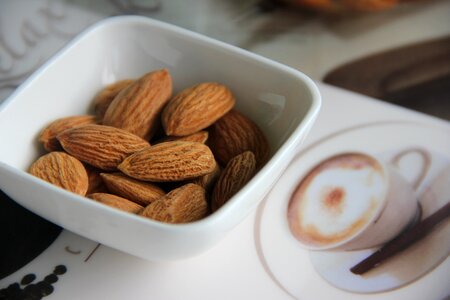 Breakfast nutrition vegetarian