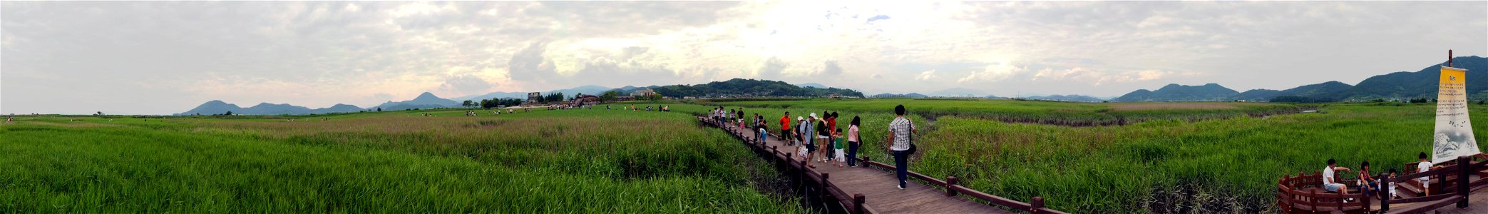 Panorama of Reed fields in Suncheon bay