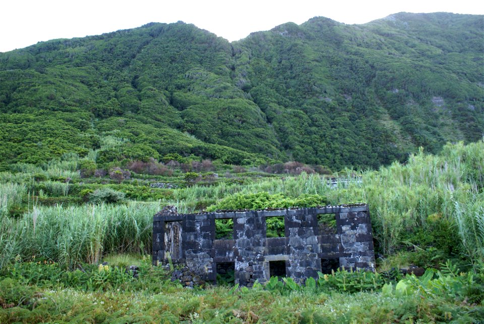 Fajã do Belo, outro aspecto da fajã, destaque para as falésias, Calheta, ilha de São Jorge, Açores