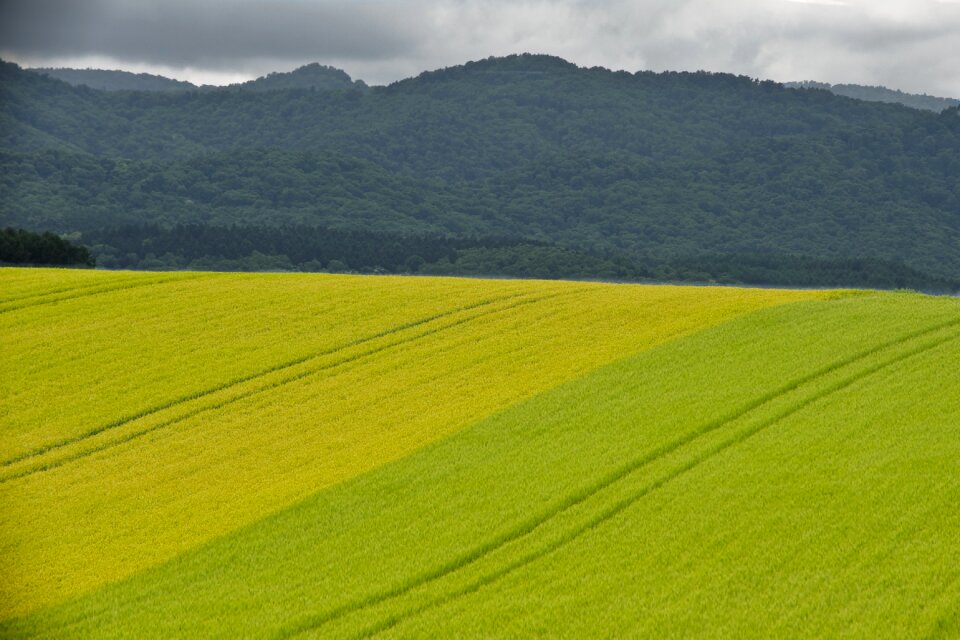 Natural landscape outdoors