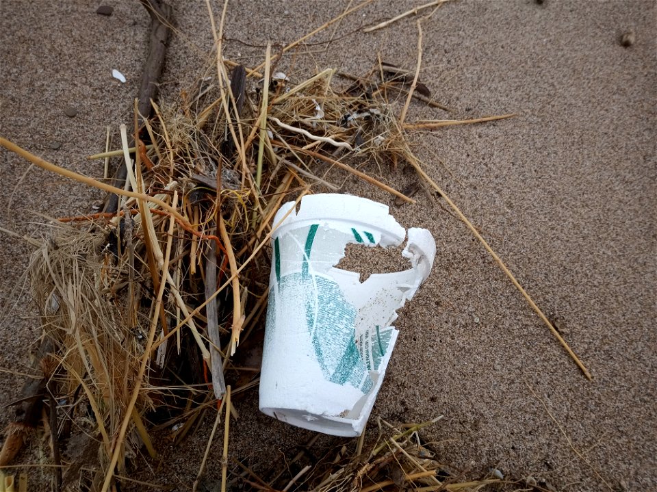 Dart-brand 12 ounce styrofoam cup at Lake Street Beach on Lake Michigan in Gary, Indiana, showing the effects of physical weathering by freshwater wave action that has removed large chunks of the cup.