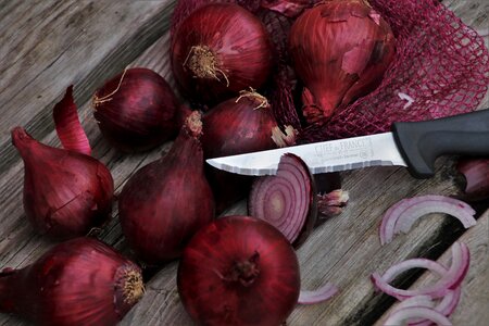 Food cook nutrition