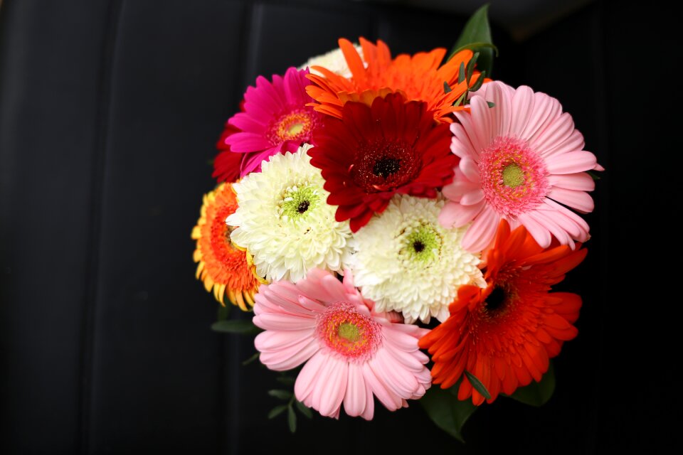 Bright black background flower