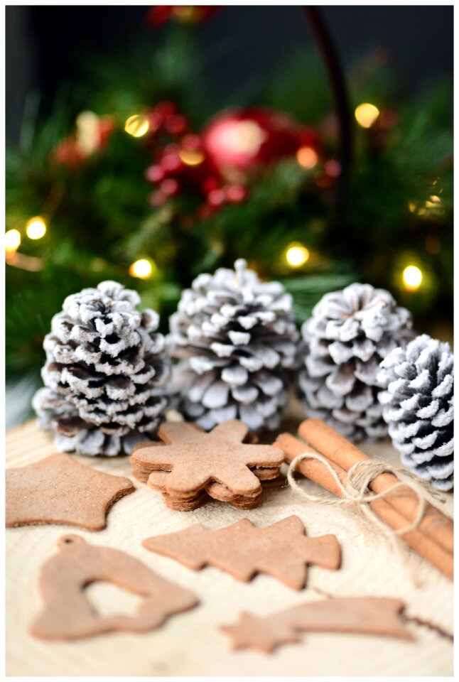 Holidays festive time gingerbread