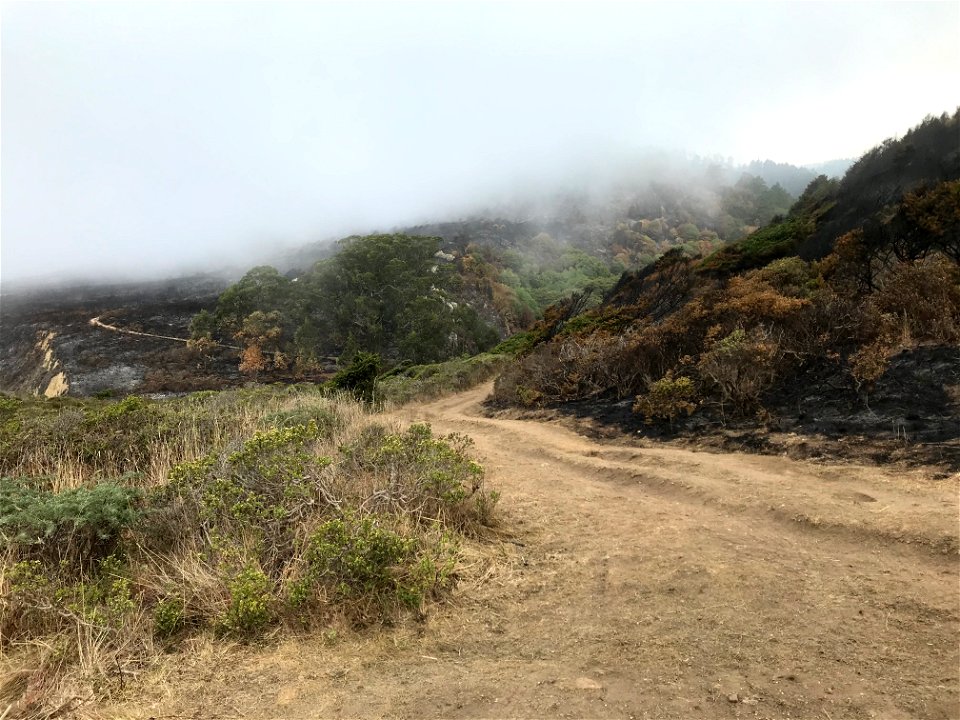 Woodward Fire - Drainage above Kelham Beach - August 23, 2020 - 10:25 am