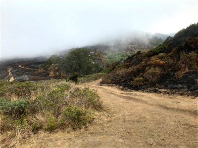 Woodward Fire - Drainage above Kelham Beach - August 23, 2020 - 10:25 am