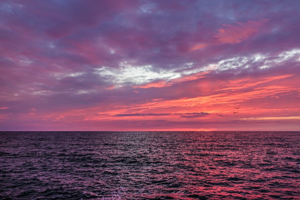 Sea ocean colorful