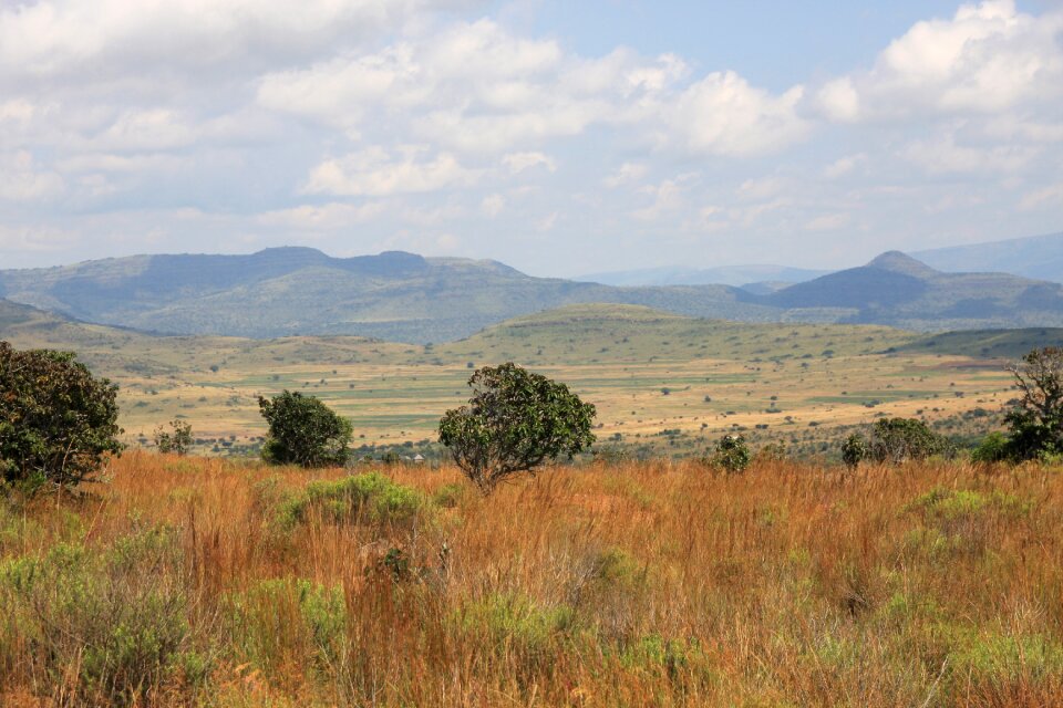 National park mountains safari
