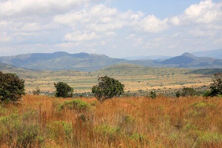 National park mountains safari