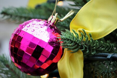 Decoration holiday winter