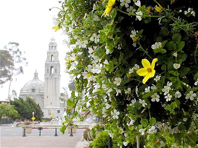 Image title: Towers flowers plants domes
Image from Public domain images website, http://www.public-domain-image.com/full-image/flora-plants-public-domain-images-pictures/flowers-public-domain-images-