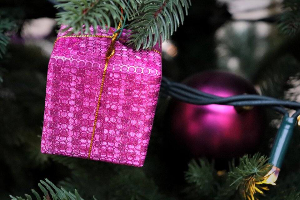 Decoration holiday winter