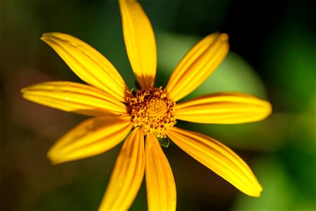 NPS | N. Lewis

(A7A1038)