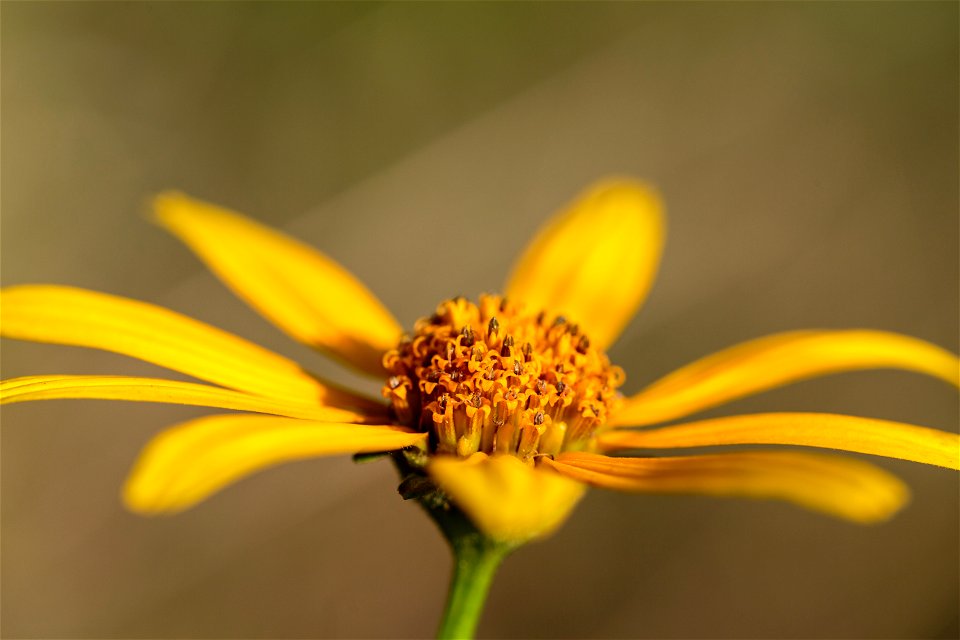 NPS | N. Lewis

(A7A1026)