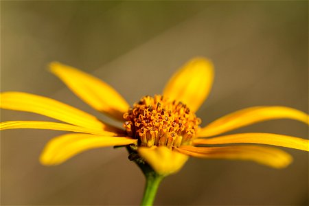 NPS | N. Lewis

(A7A1026)