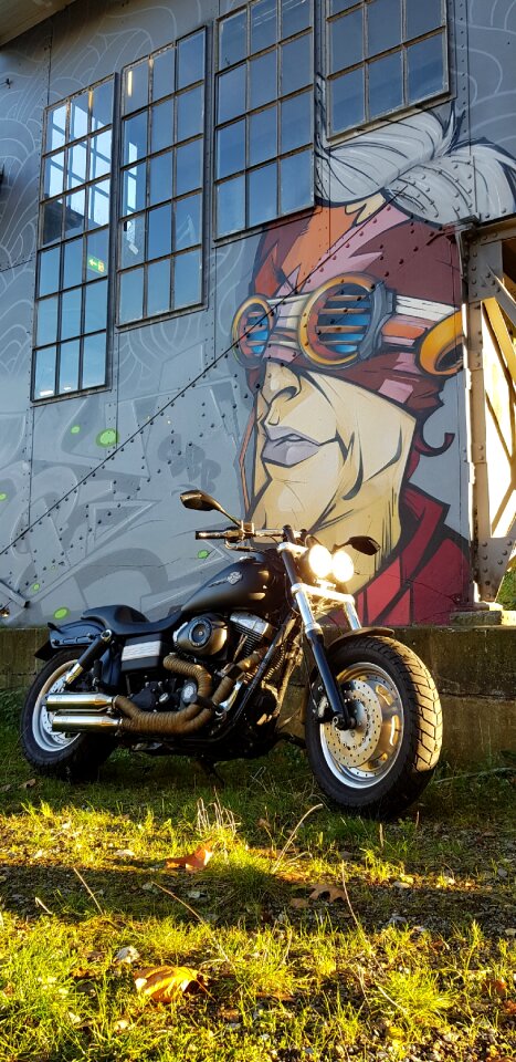 Grafity america harly davidson