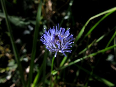 Plant in Milizac, FRANCE