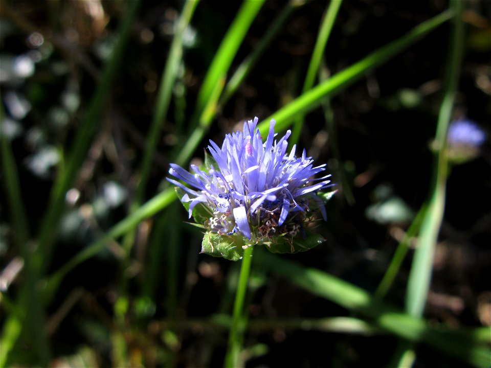 Plant in Milizac, FRANCE