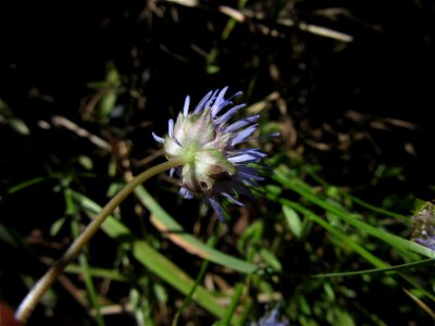 Plant in Milizac, FRANCE
