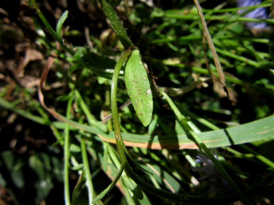 Plant in Milizac, FRANCE