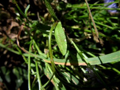 Plant in Milizac, FRANCE