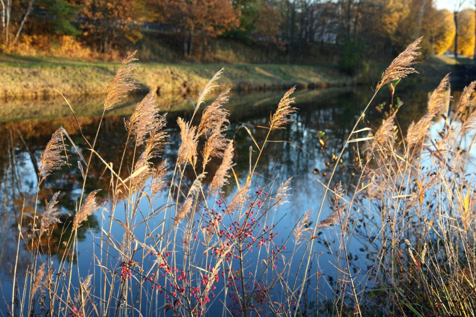 Water environment wet