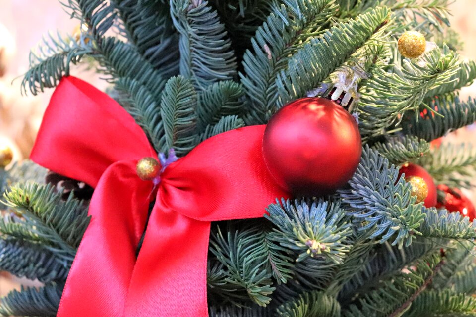 Holiday illuminated colorful