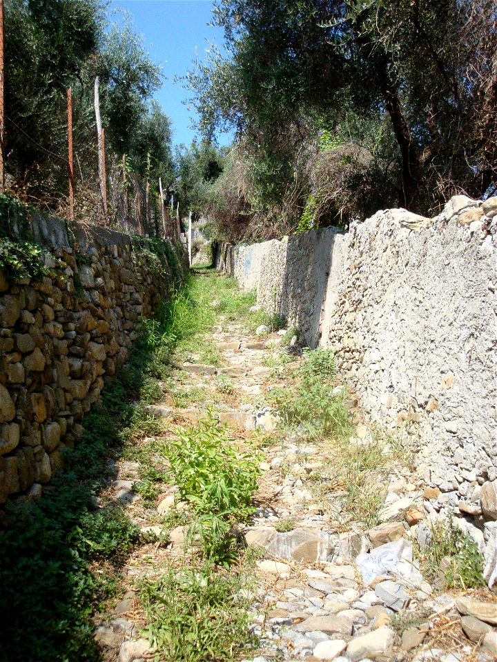 Diano Castello, vicolo con ulivi
