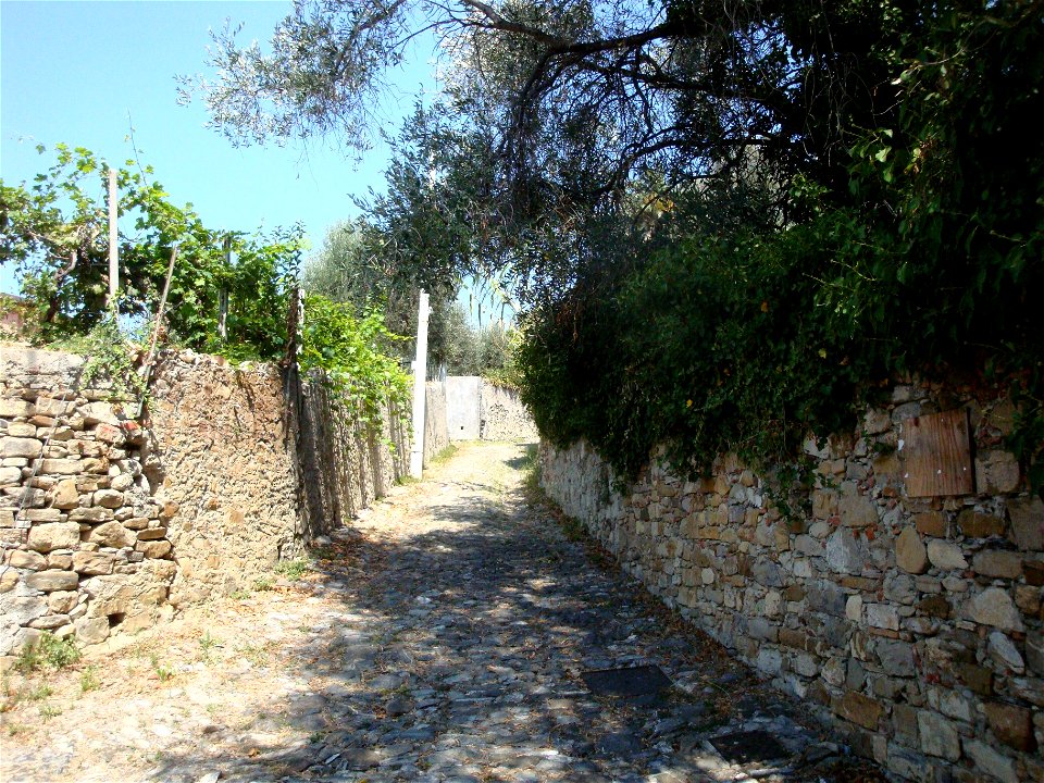 Diano Castello, vicolo con ulivi