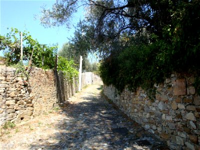 Diano Castello, vicolo con ulivi