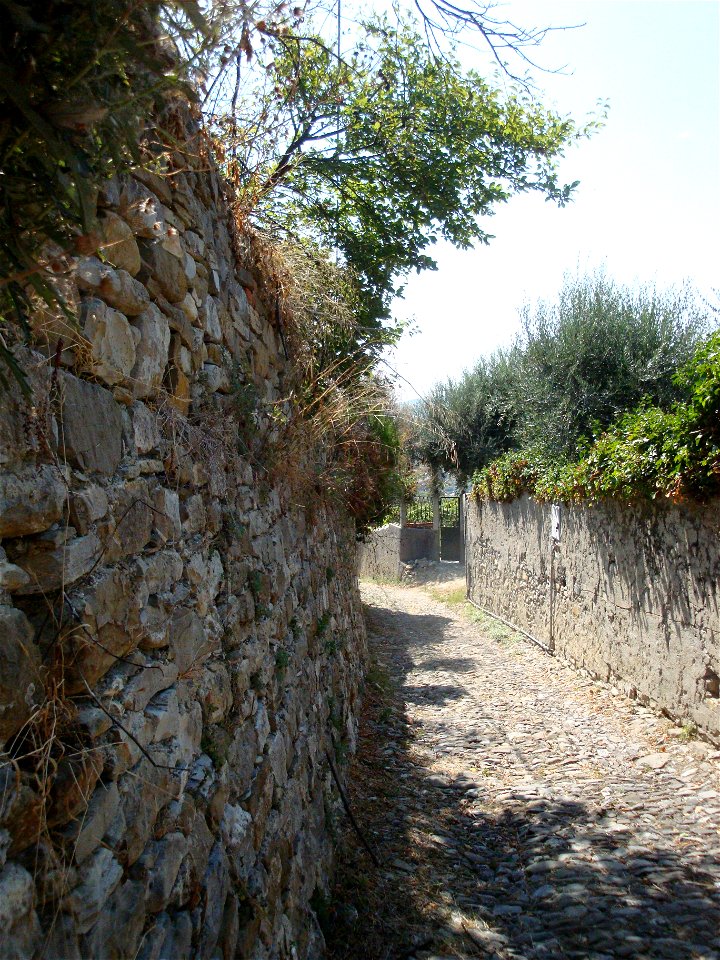 Diano Castello, vicolo con ulivi