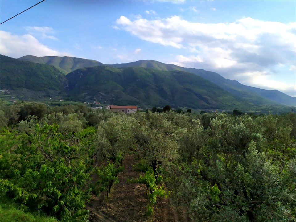 Vista dalla ferrovia Napoli - Foggia sul settore NNE del gruppo del Camposauro. Al centro dell'immagine si vede il monte Pizzuto (776 m), con dietro la cima del Camposauro (1390 m); sulla sinistra le 