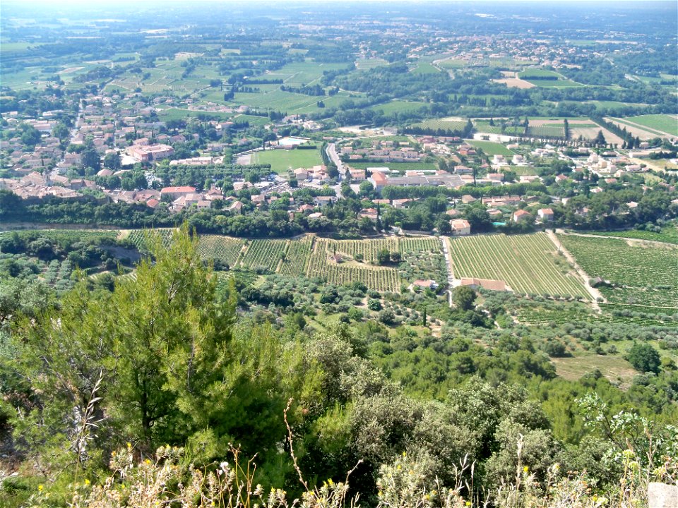 vue sur la plaine et Beaumes de Venise