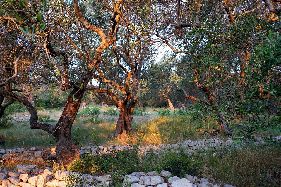 This is a photography of Natura 2000 protected area with ID GR2230004