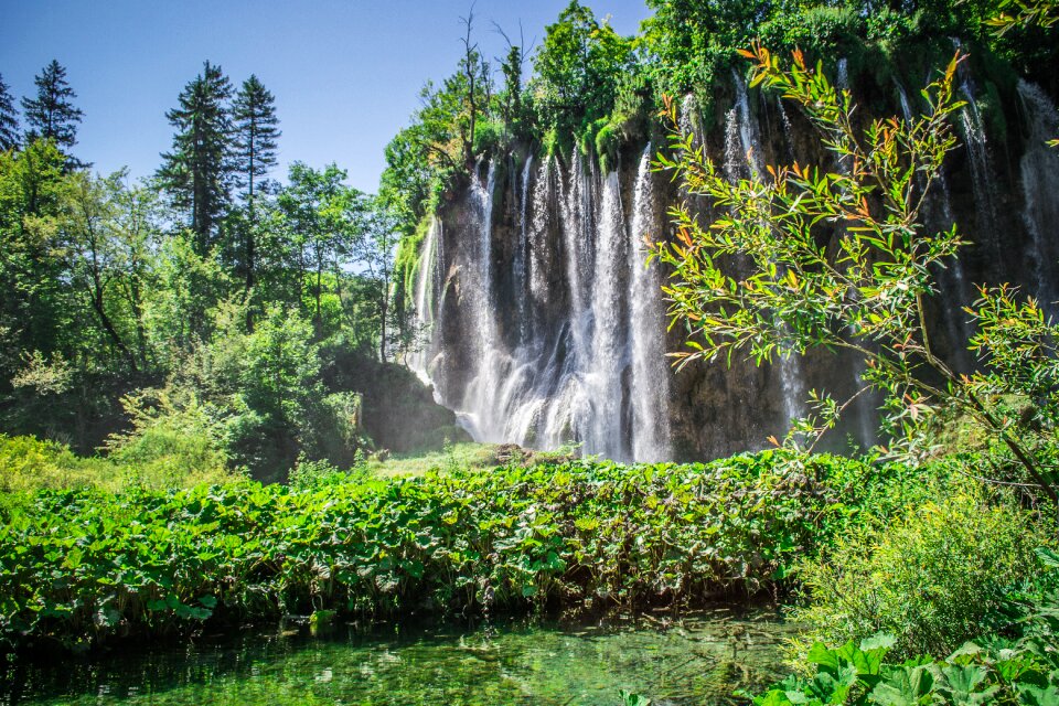 Landscape green flowing